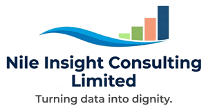 Nile Insight Consulting Limited